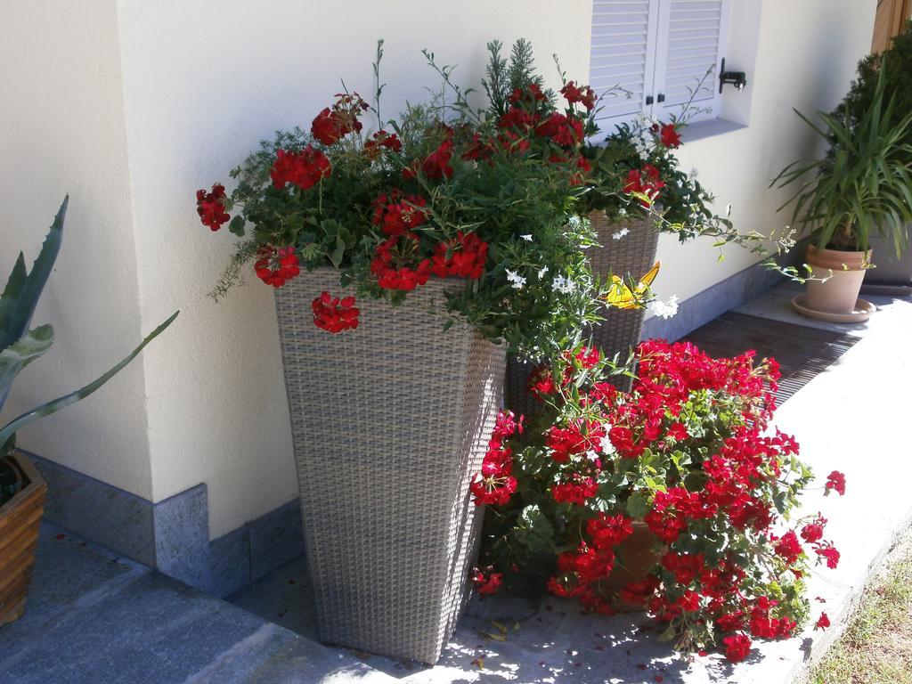 Garni Hattlerhof B&B Brunico Exteriér fotografie